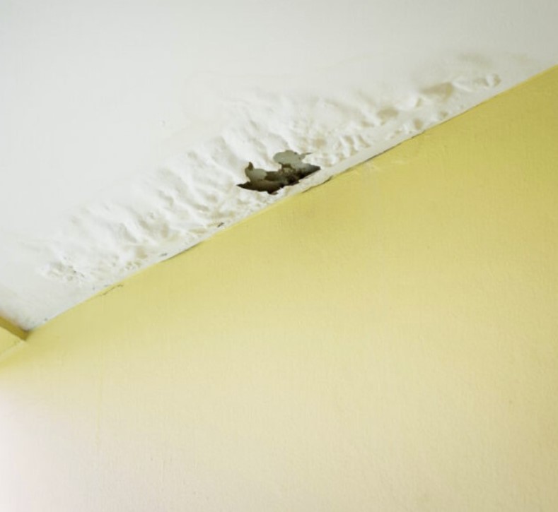 fuit de toit plafond